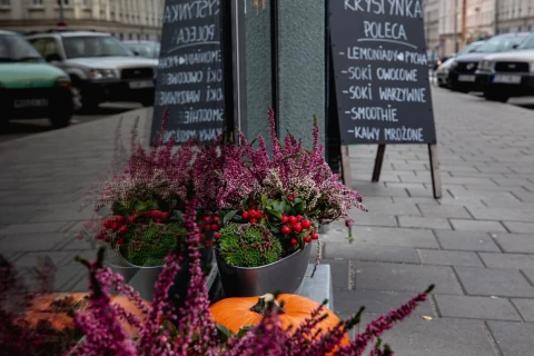 Bistro w centrum Katowic